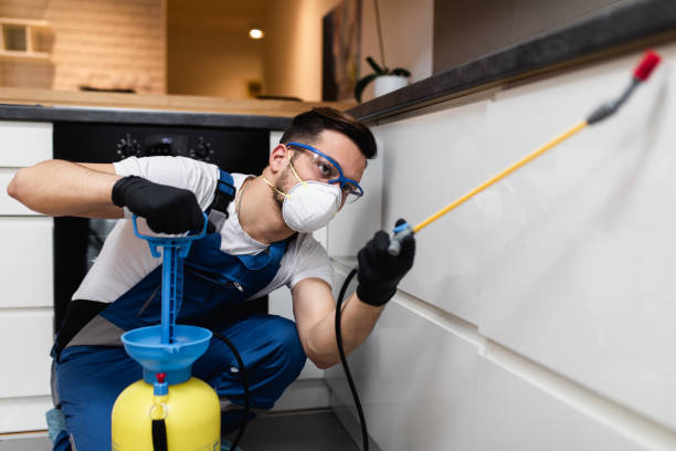 Best Pest Control Near Me in Country Clu, MO