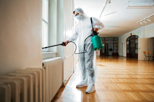 Best Pest Removal Services  in Country Clu, MO