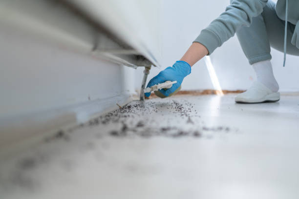Best Local Pest Control Services  in Country Clu, MO